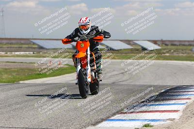 media/Mar-23-2025-TrackDaz (Sun) [[88a7749186]]/C Group/1240pm (Wheelie Bump)/